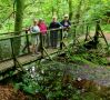Crossing the Burn Anne