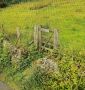 The missing gate