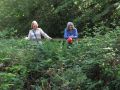 In the Auldhouse Glen
