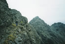 On Collie's Ledge