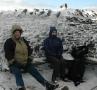 Summit of Whernside